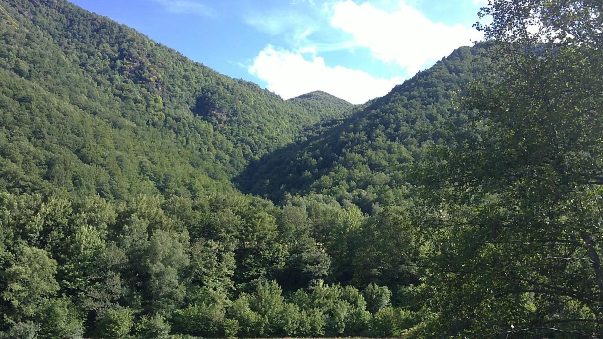 Apartamentos Rurales L'Abiseu Caboalles de Abajo Dış mekan fotoğraf
